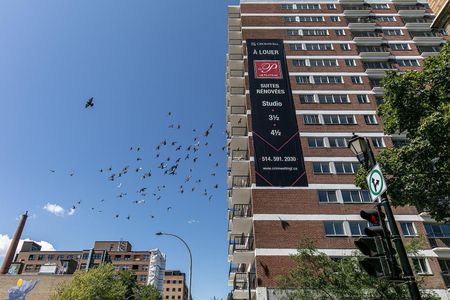 3605 Rue Saint-Urbain, Montréal, QC - Photo 4
