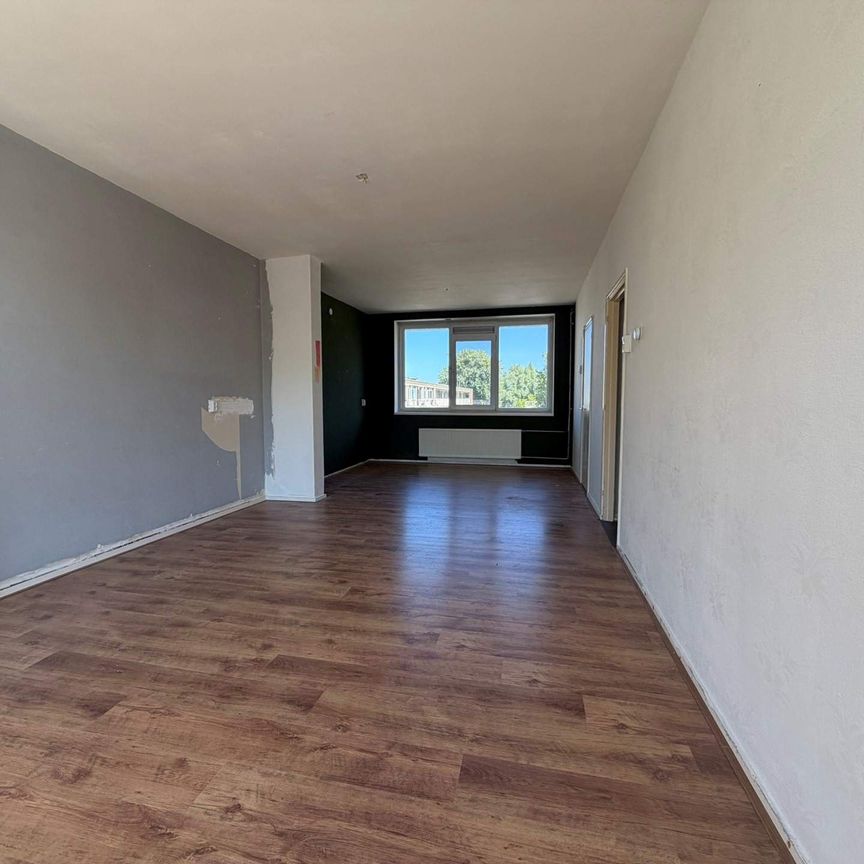 Appartement de 3 pièces Spinozaweg, Rotterdam - À louer - Foto 1