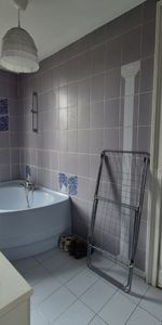 Location Appartement 1 pièce 12m² VILLENEUVE D ASCQ 59650 - Photo 3