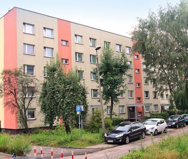 3 pokoje przy Parku Śląskim, blisko centrum - Zdjęcie 1