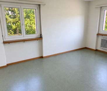 2.5 Zimmer, EG - Photo 5