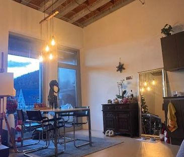 Nachmieter 1.5zimmer loft gesucht (31.3.26) - Photo 1