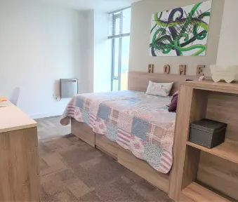 1 Bedroom, 1 Bathroom - Photo 4