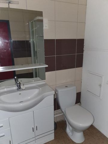 Location Appartement 1 pièce 32m² NANCY 54000 - Photo 5