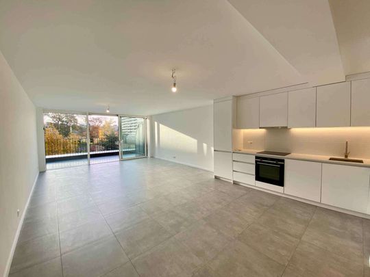 Appartement de 6 pièces en duplex et attique avec terrasse à Onex - Photo 1