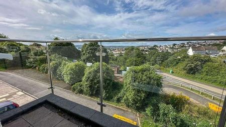 Roundhill Road, Torquay, TQ2 - Photo 5