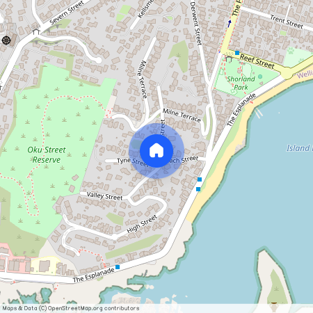 3 Knoll Street, Island Bay