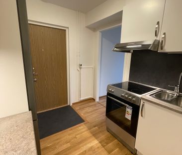 Ollenicklas väg, Vänersborg - Foto 4