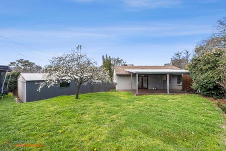 19 Lutana Street, Lyons ACT 2606 - House For Rent | Domain - Photo 4