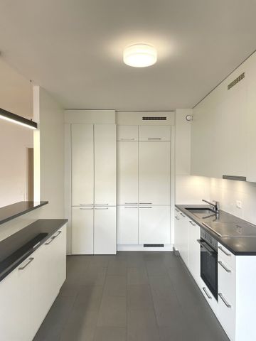 Plaine de Plainpalais - Université - Foto 4