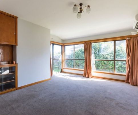95 Hansons Lane, Upper Riccarton - Photo 1