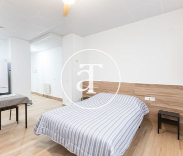 Monthly rental studio with 1 bedroom, 1 bathroom near Zoo Aquarium ... - Photo 2