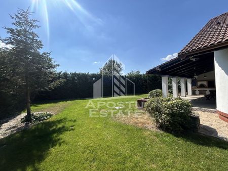 Casa cu 5 camere de inchiriat, curte proprie, Sanmihaiu Roman, Timis - Fotografie 4