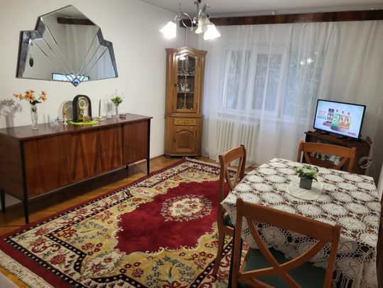 Apartament 2 camere, 50 mp, zona Brazda lui Novac - Photo 1