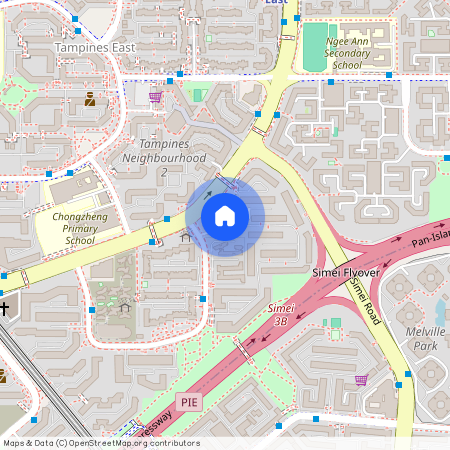 294 Tampines Street 22 (520294), Singapore