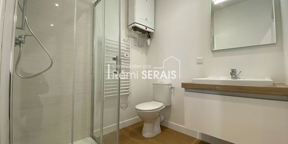 Location Appartement 1 pièce 20m² - Photo 3