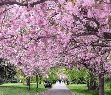 Room in a Shared Flat, Beaconsfield Close, SE3 - Photo 5
