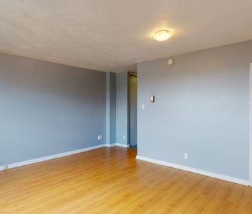 Bachelor Apartment for Rent – Pet Friendly – Feb 1st Move-In! - Photo 3