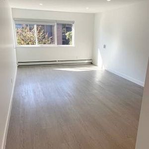 Fully renovated STUDIO in the heart of Kitsilano - Photo 2