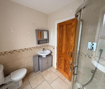 33 Stream Street, Downpatrick, BT30 6DE - Photo 5