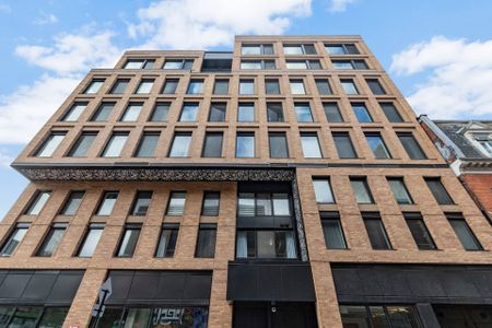 1406 Rue Ste Élisabeth, Montréal (Ville-Marie), QC H2C - Photo 4