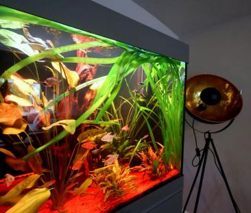 33104 Paderborn / Schloß Neuhaus - Photo 3