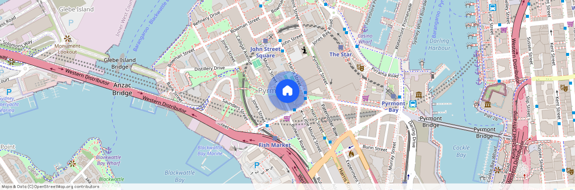 3/56 Mount Street, Pyrmont NSW 2009