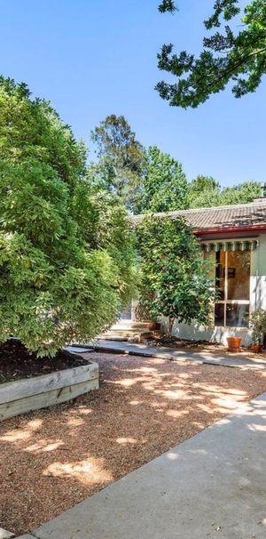 49 Lewin Street, Lyneham ACT 2602 - House For Rent | Domain - Photo 2