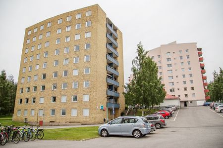 Lasarettsvägen 3, 94150, Piteå - Photo 5