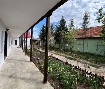 Central -Sanandrei -Casa 3 Camere -Teren Generos - Fotografie 5