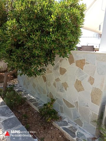 Studio/Γκαρσονιέρα, προς ενοικίαση Λαγονήσι, Καλύβια Θορικού Κωδικός 1007415 - Photo 2