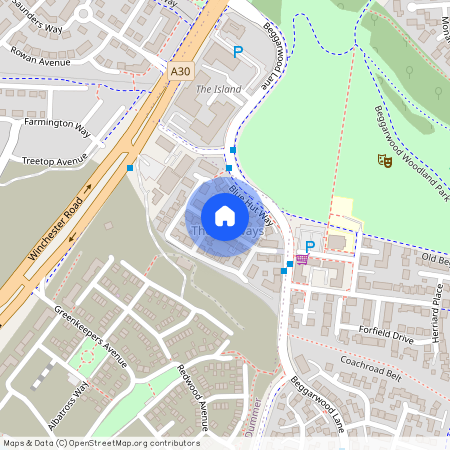 Blue Hut Way, Beggarwood, Basingstoke..., RG23 7FZ, Basingstoke