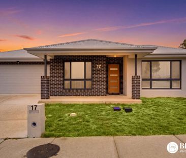 Contemporary Family Living - Photo 4