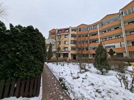 Przy Agorze, Bielany, Warszawa - Photo 4