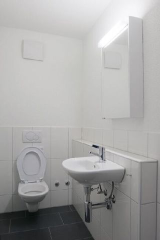 Greifensee La zone de loisirs locale - Photo 2