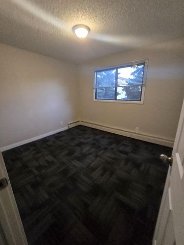 Modern 1 Bedroom Apartment Downtown Available Now - Photo 5