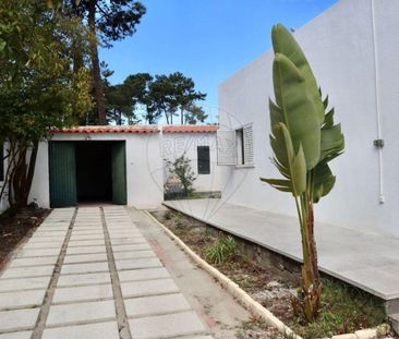Setúbal, Setúbal Municipality 2855 - Photo 3