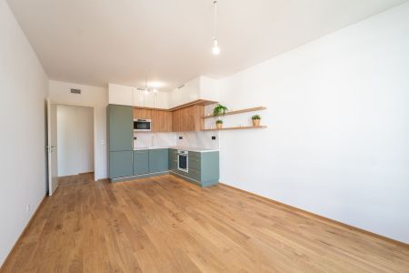 Pronájem bytu 2+kk • 59 m² bez realitkyU Komína, Praha - Radlice - Photo 2