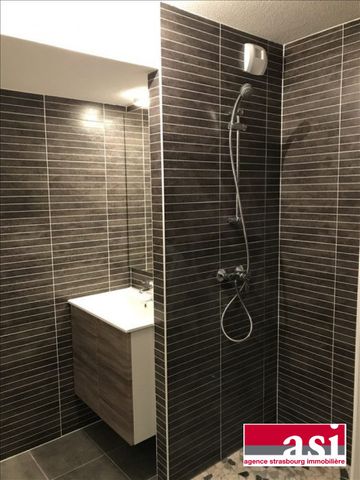 1 Pièce récent - Photo 4