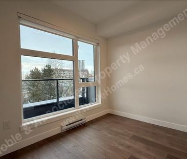 1XXXX 17 Avenue 505 Surrey - Photo 6