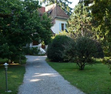 Très belle propriété de charme à Versoix - Foto 4