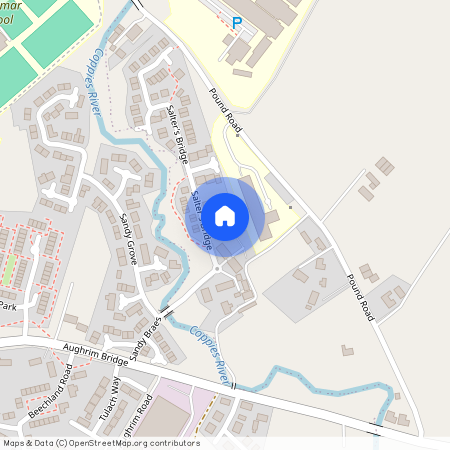 21 Salters Bridge, Magherafelt, BT45 6QU, Derry