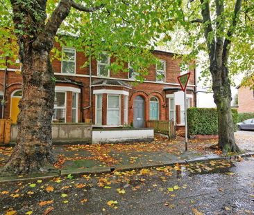 73 Deramore Avenue, Belfast, BT7 3ES - Photo 3