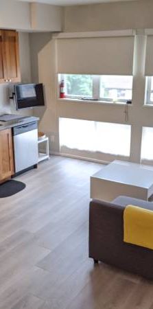 1BR furnished suite with rooftop patio - Photo 1