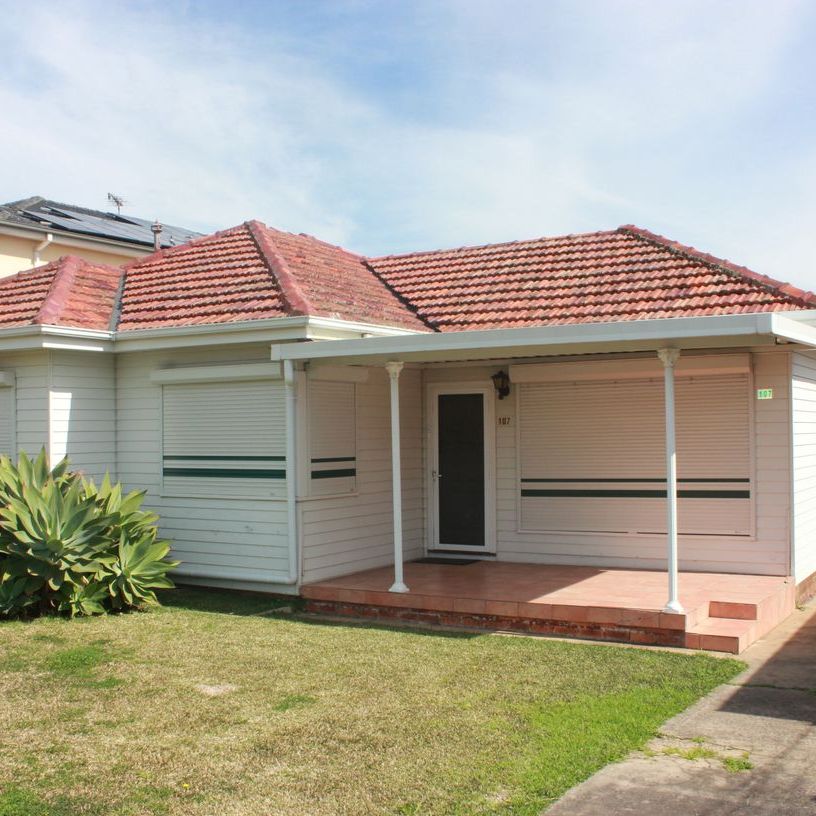 107 Cumberland Street, Cabramatta, NSW 2166 - Photo 1