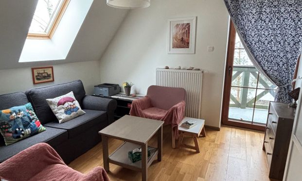 Warszawski Zachodni (pow.), Stare Babice (gm.), Borzęcin Mały - Photo 1