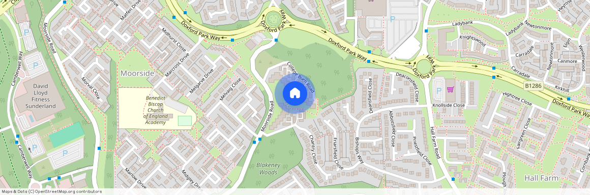 Lofthill, Sunderland, Tyne and Wear, SR3