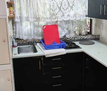 Charming Remuera 1BR Garden Flat! - Photo 3