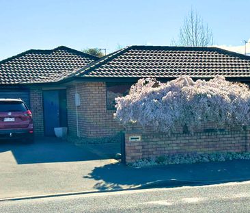 Central Blenheim - 3-Bedroom Home - Photo 5