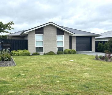 Pet Friendly Home - Photo 4